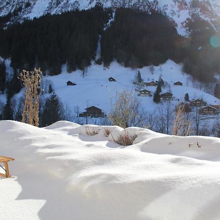 Chalet Pfingsteggblick Grindelwald Zewnętrze zdjęcie