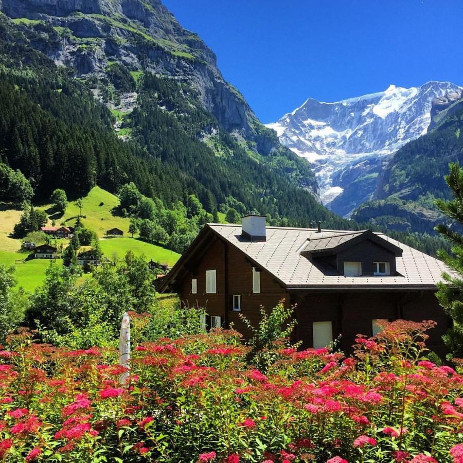 Chalet Pfingsteggblick Grindelwald Zewnętrze zdjęcie