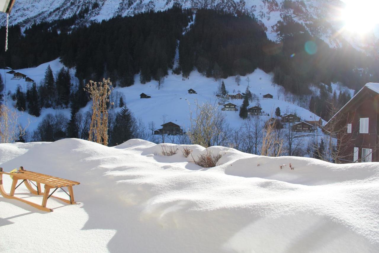 Chalet Pfingsteggblick Grindelwald Zewnętrze zdjęcie