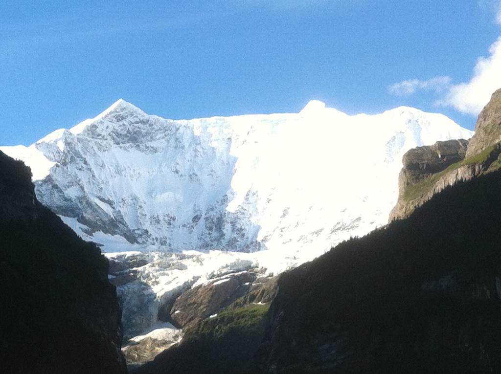 Chalet Pfingsteggblick Grindelwald Zewnętrze zdjęcie