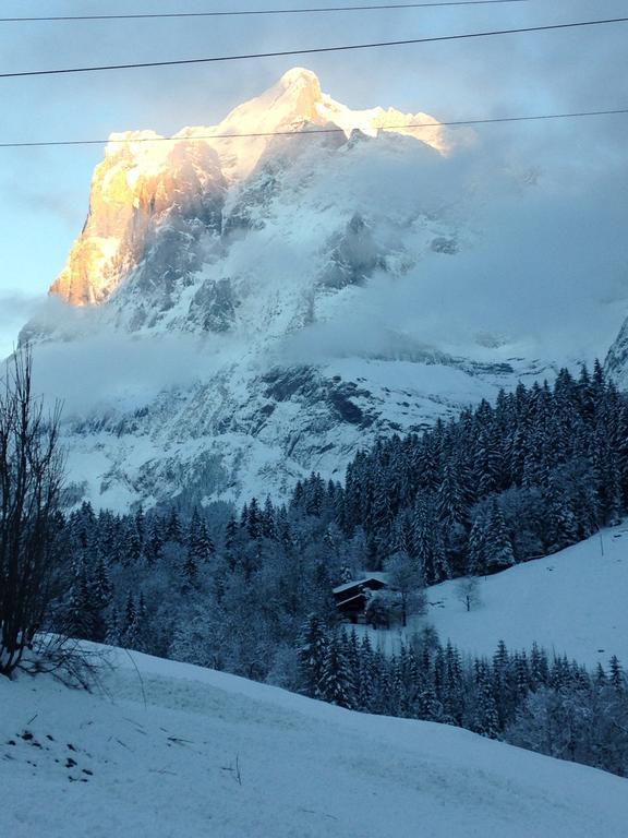 Chalet Pfingsteggblick Grindelwald Zewnętrze zdjęcie