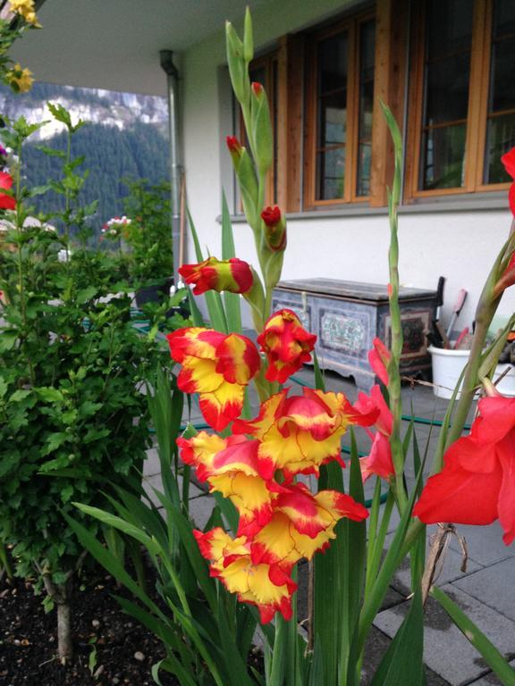 Chalet Pfingsteggblick Grindelwald Zewnętrze zdjęcie