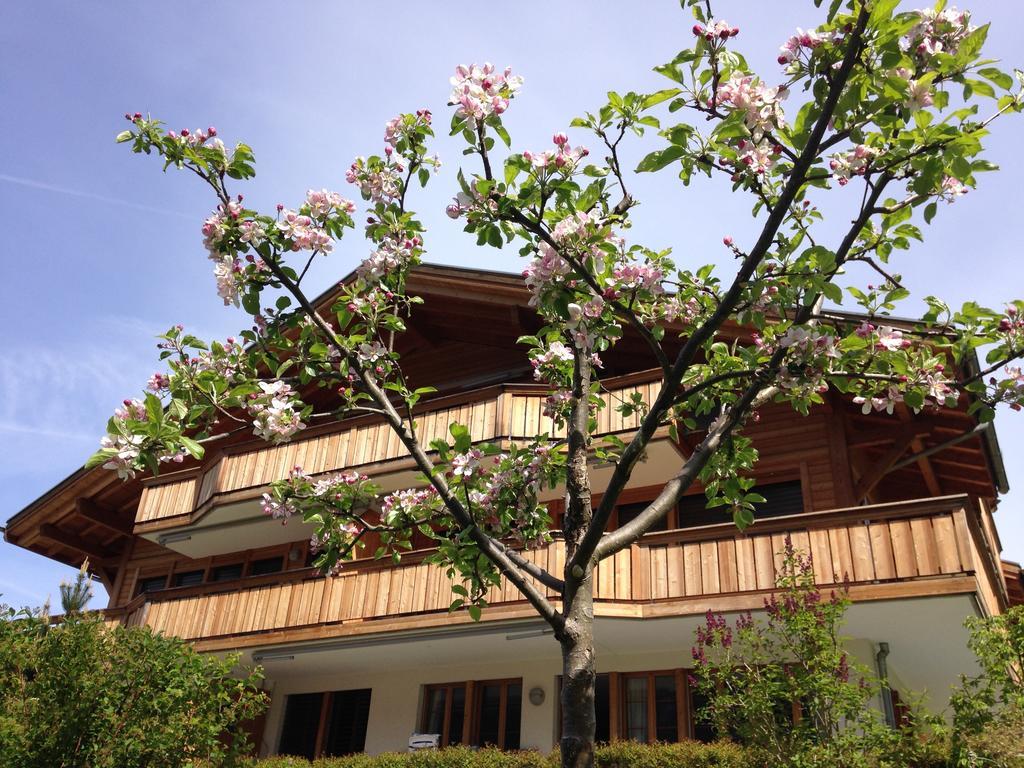 Chalet Pfingsteggblick Grindelwald Zewnętrze zdjęcie